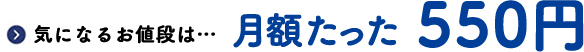 気になるお値段は…月額たった550円